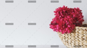 ina-soulis-227104-unsplash-1